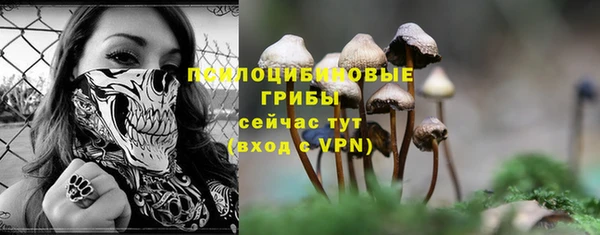 крисы Беломорск